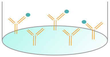 A photo of Specificity Assays