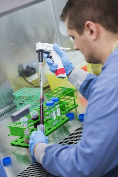 picture of T cells being multiplied in the lab