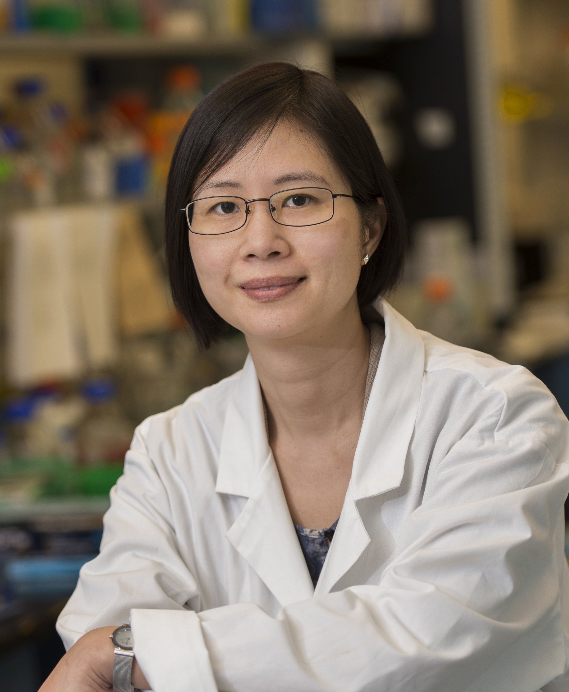 Dr. Linh Nguyen